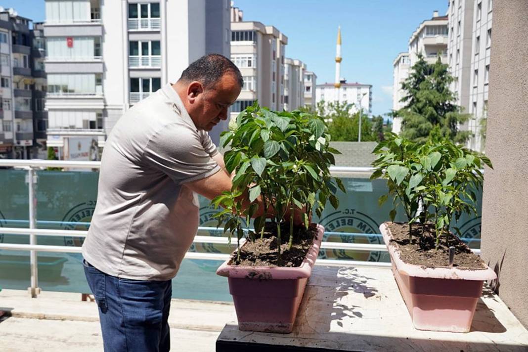 En özel sosyalleşme imkanı: Atakum Yaşam Park'ta yerinizi ayırtın! Kısa sürede büyük ilgi gördü 6